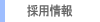 �̗p���